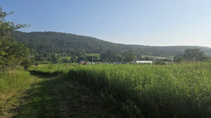 Greek Peak Campground at Hope Lake 2
