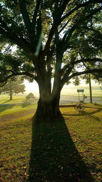 Butternut Hill RV Camping 8