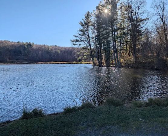 Stoney Pond Campground