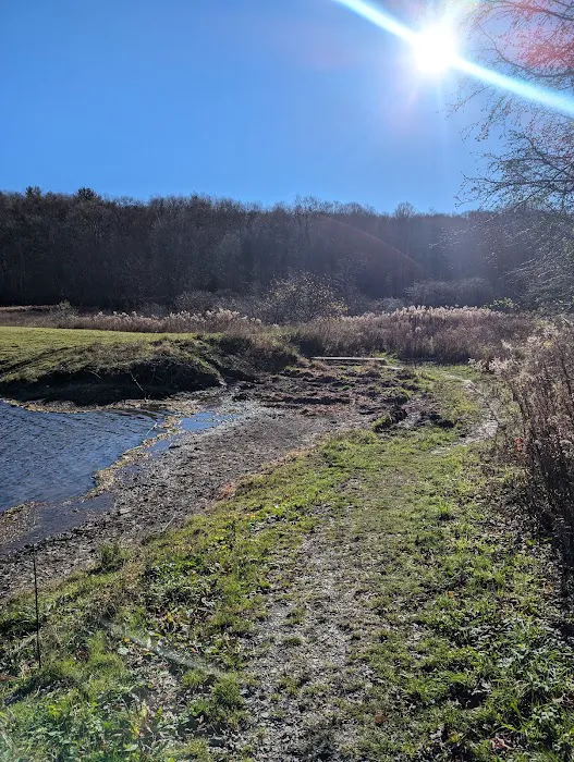 Stoney Pond Campground 1