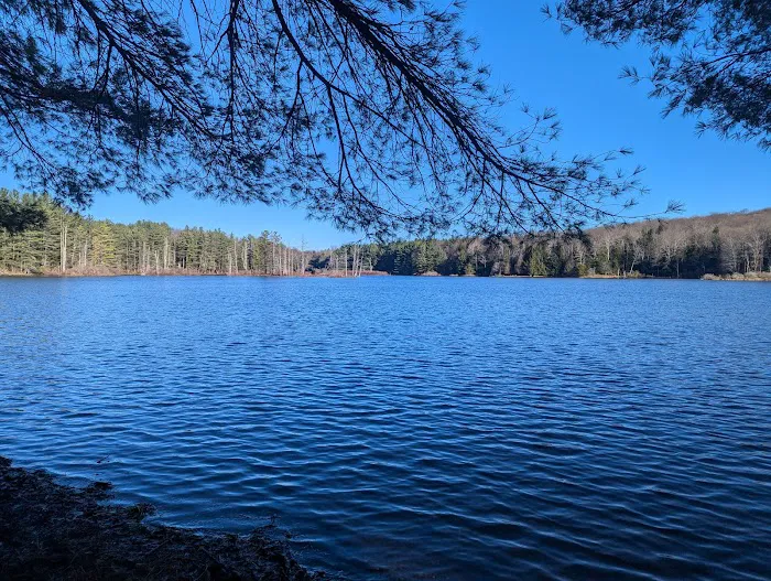 Stoney Pond Campground 9