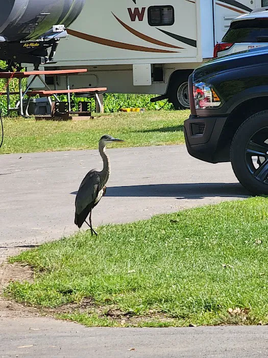 Oneida Indian Nation RV Park 3
