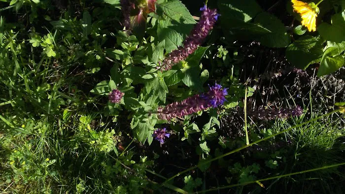 Heritage Acres Mobile Home Park 6