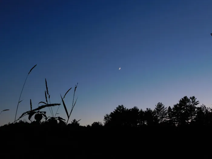 Northwoods Campground 0