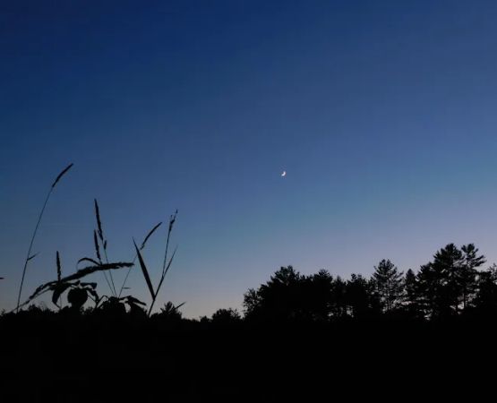 Northwoods Campground