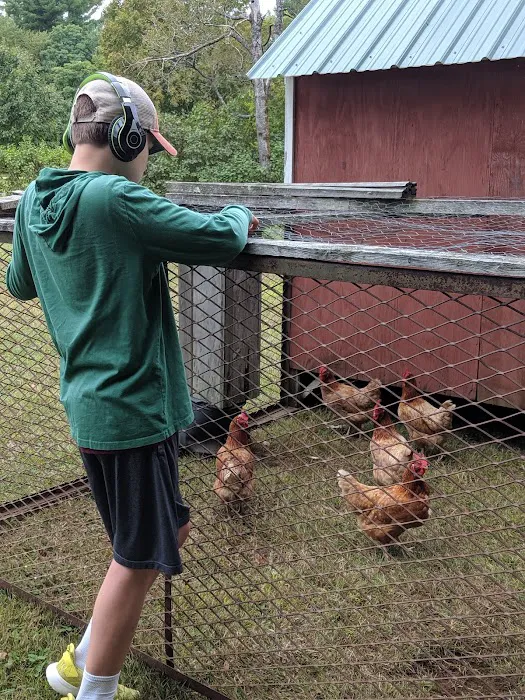 Peacocks Properties RV Park and Rentals 6