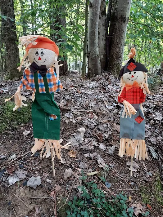 Pop's Lake Campground 3