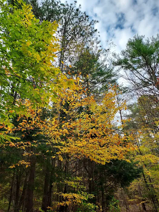Pop's Lake Campground 7