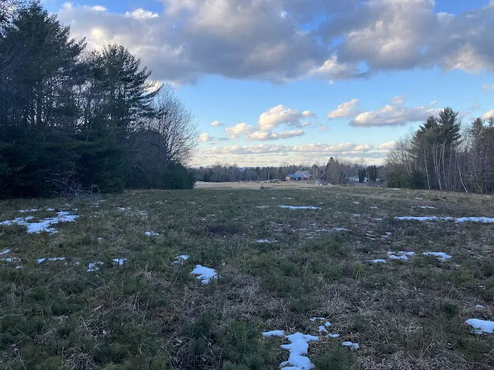 Sway Meadow Glamping | Camping 1