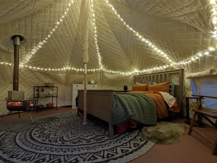 Sway Meadow Glamping | Camping 3