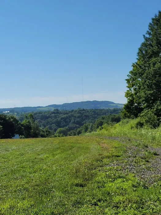 Ace of Diamonds Mine & Campground 6