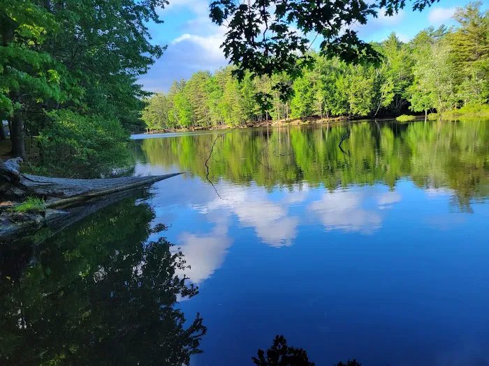 Northampton Beach Campground 8