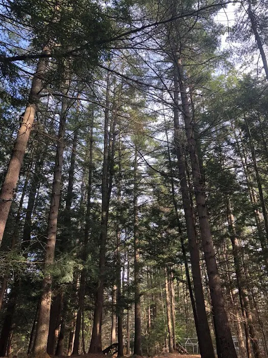 Whispering Pines Campsites & RV Park 0