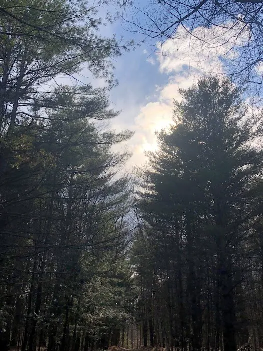 Whispering Pines Campsites & RV Park 3