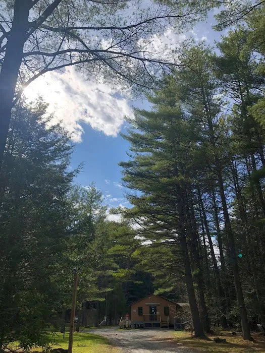 Whispering Pines Campsites & RV Park 5