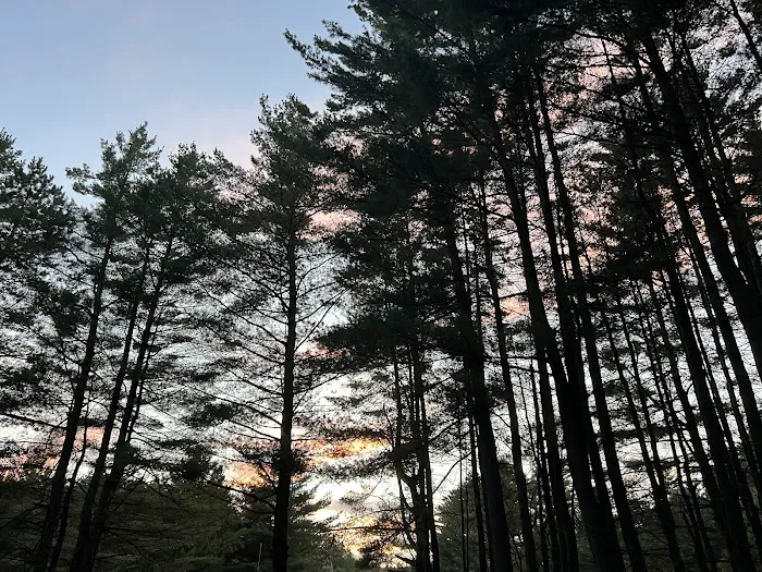 Pine Hollow Campground - Pownal VERMONT 3
