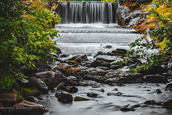 Greenwood Lodge & Campsites 2