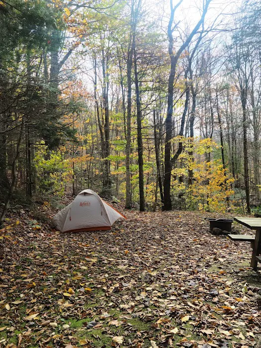 Greenwood Lodge & Campsites 9