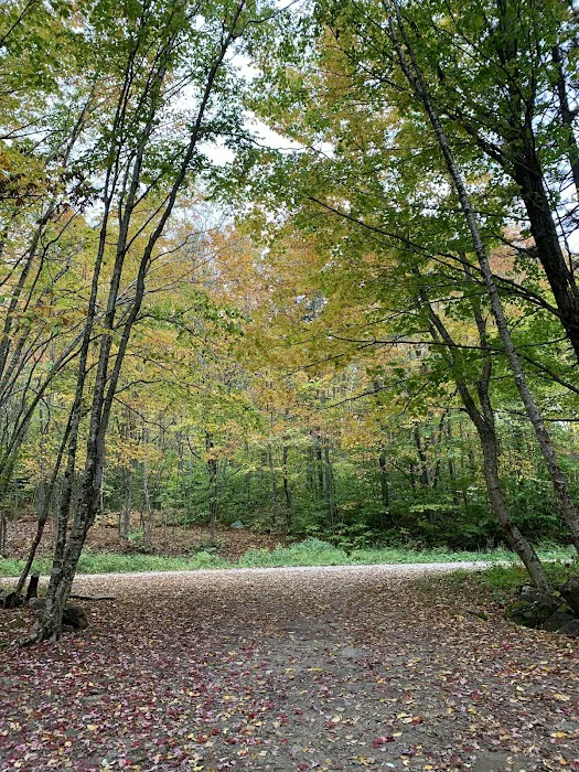 Camp Kelly Campground 2