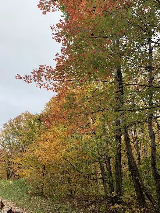 Camp Kelly Campground 0