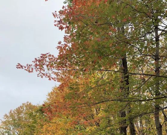 Camp Kelly Campground