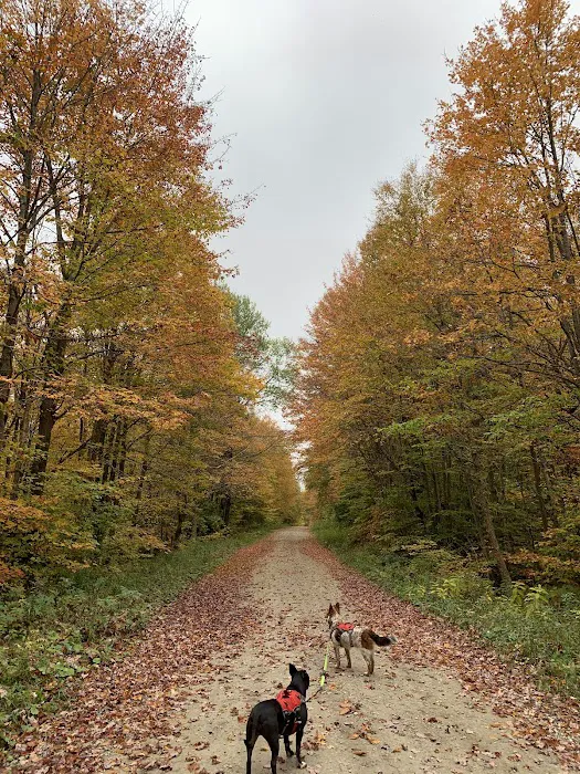 Camp Kelly Campground 3