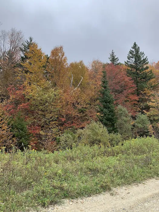 Camp Kelly Campground 4