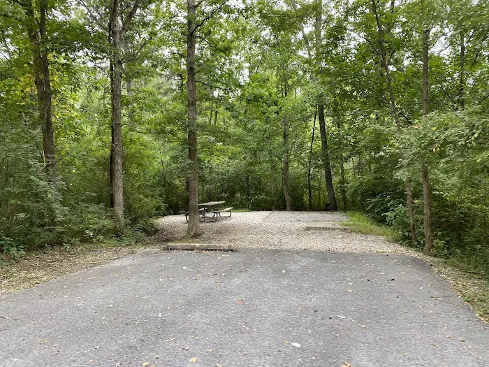 Gifford Pinchot State Park Campground 8