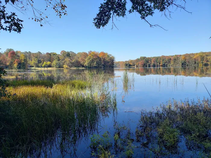 Gifford Pinchot State Park Campground 3