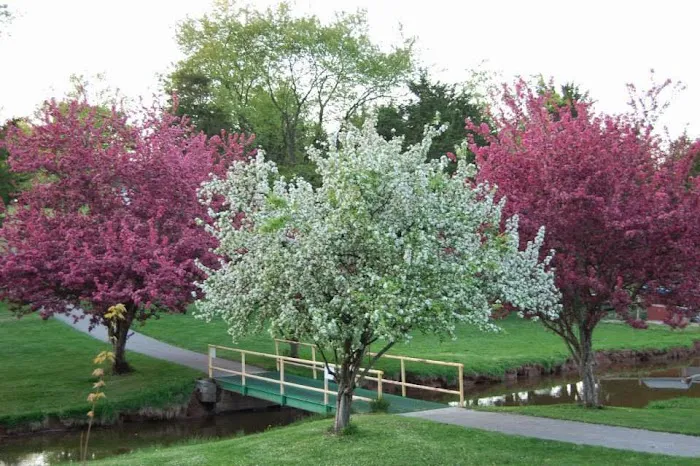 Cedar Lake Campground 8