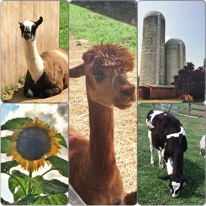 Thousand Trails Gettysburg Farm 9