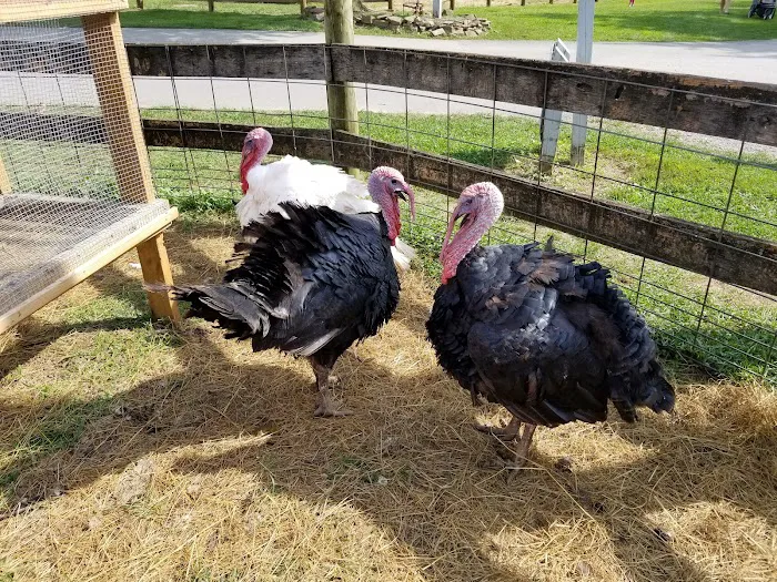 Thousand Trails Gettysburg Farm 7