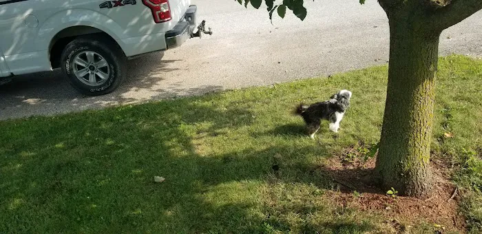 Mountainview Mobile Home Park 4