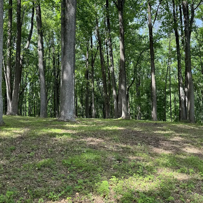 Shiloh Valley Camping 4