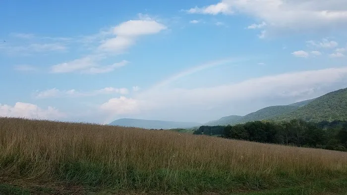 Dennis Alan Camping 8