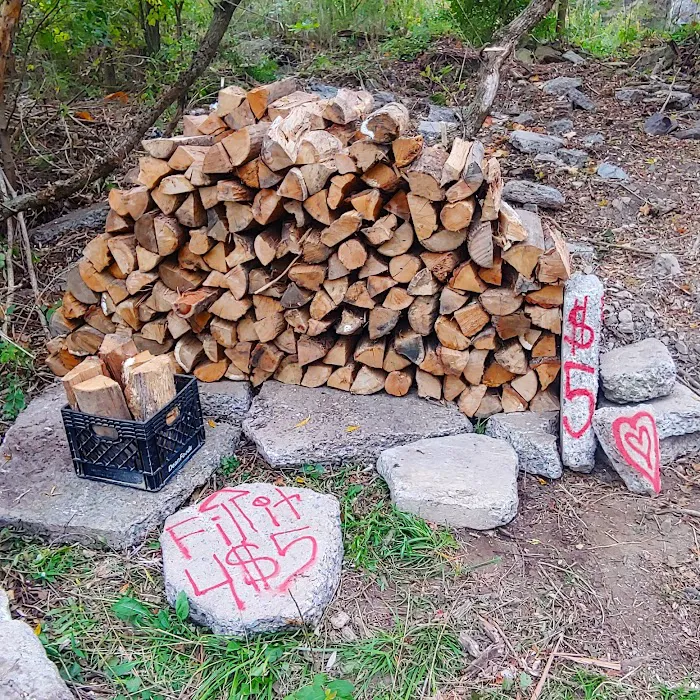 Dennis Alan Camping 3