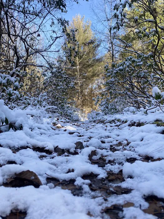 Hemlock Acres Campground 0