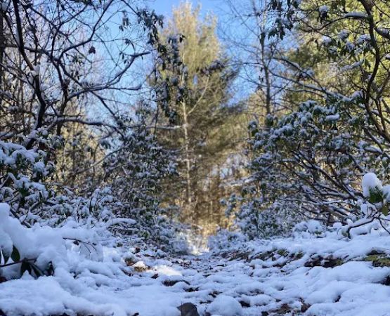 Hemlock Acres Campground