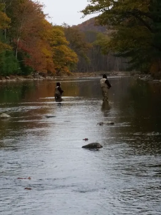 Hemlock Acres Campground 8