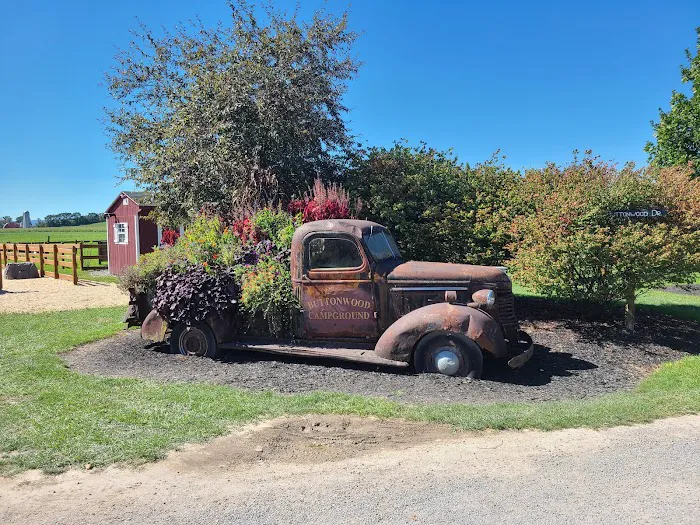 Buttonwood Campground 5