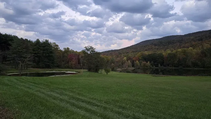 Back Roads Camping and Rv Resort 3