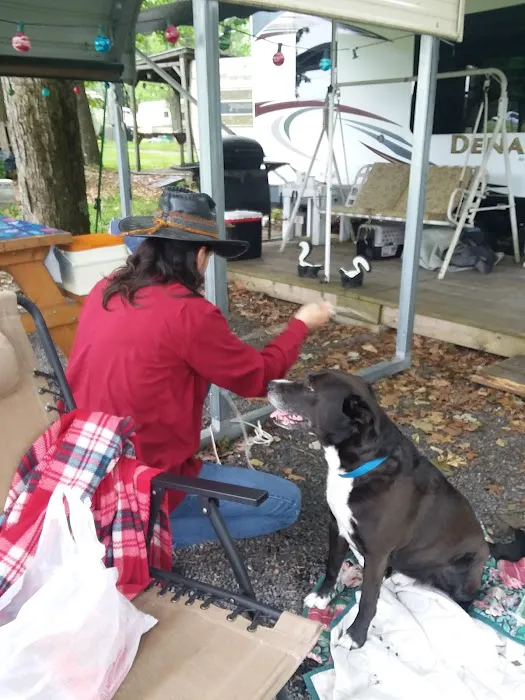 Lost Acres Camping Resort/Eatery 5