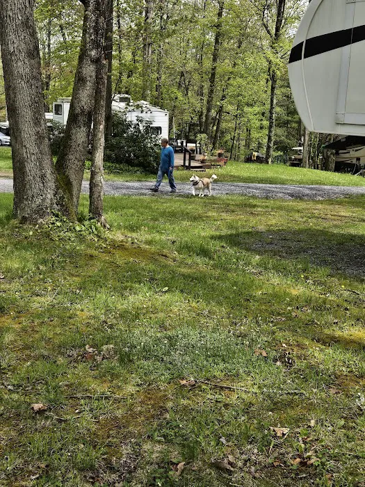 North 40 Campground 3