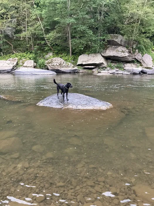 Bit of Heaven Campground 9