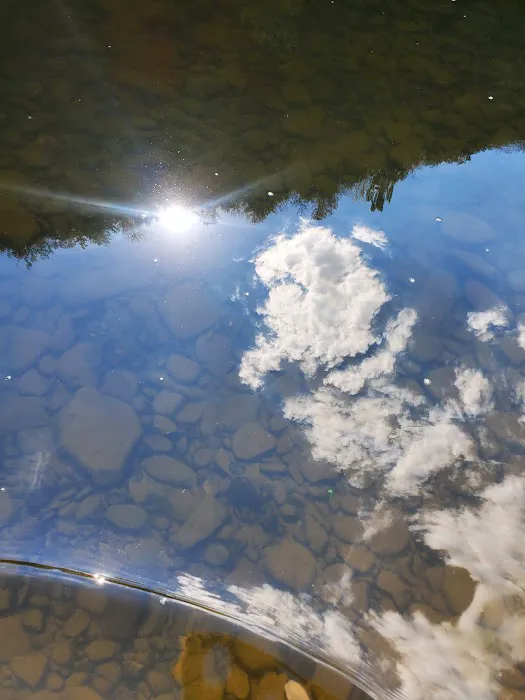 Black Walnut Bottom Campground 4