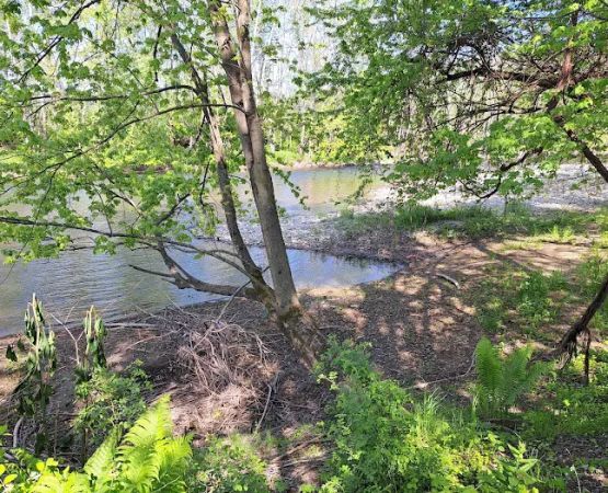 Bending River Estates