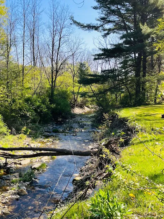 Sunflower Acres Family Campground 4