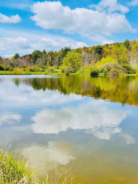 Sunflower Acres Family Campground 2