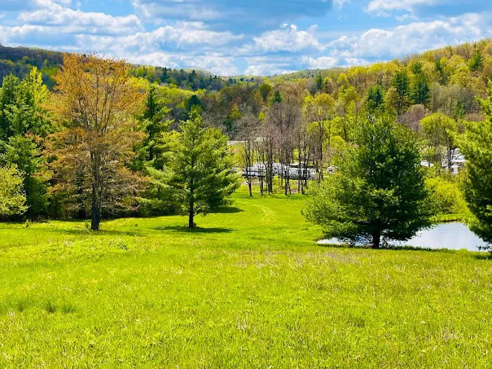 Sunflower Acres Family Campground 9
