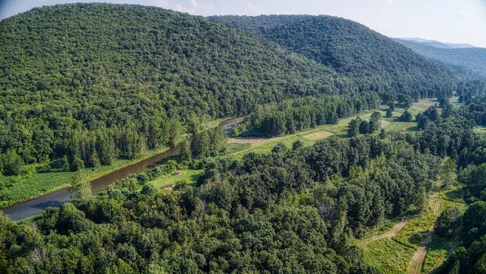 Hoffman Campground 6